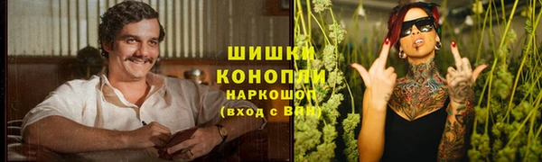 Альфа ПВП Бородино