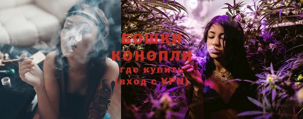 Альфа ПВП Бородино