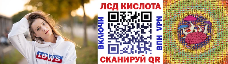 Марки NBOMe 1500мкг  что такое   кракен онион  Разумное 